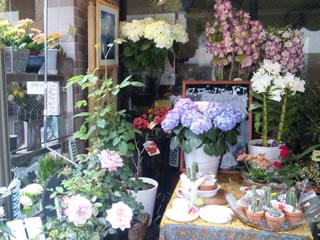 6月７月フラワーアレンジメントの教室を開催致します