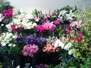 2024年10月フラワーアレンジメント教室のお知らせ♪