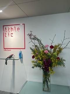 アスレティックのエントランスの花ミモザと陽光桜で（６日）