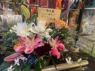２月のお花達