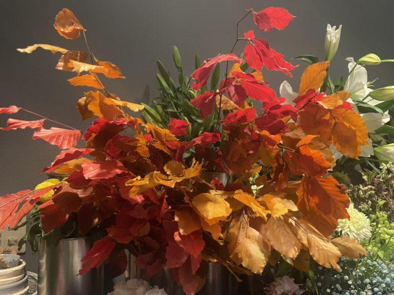 10月5日（木）から　月２回、第一木曜日と第三木曜日が定休日