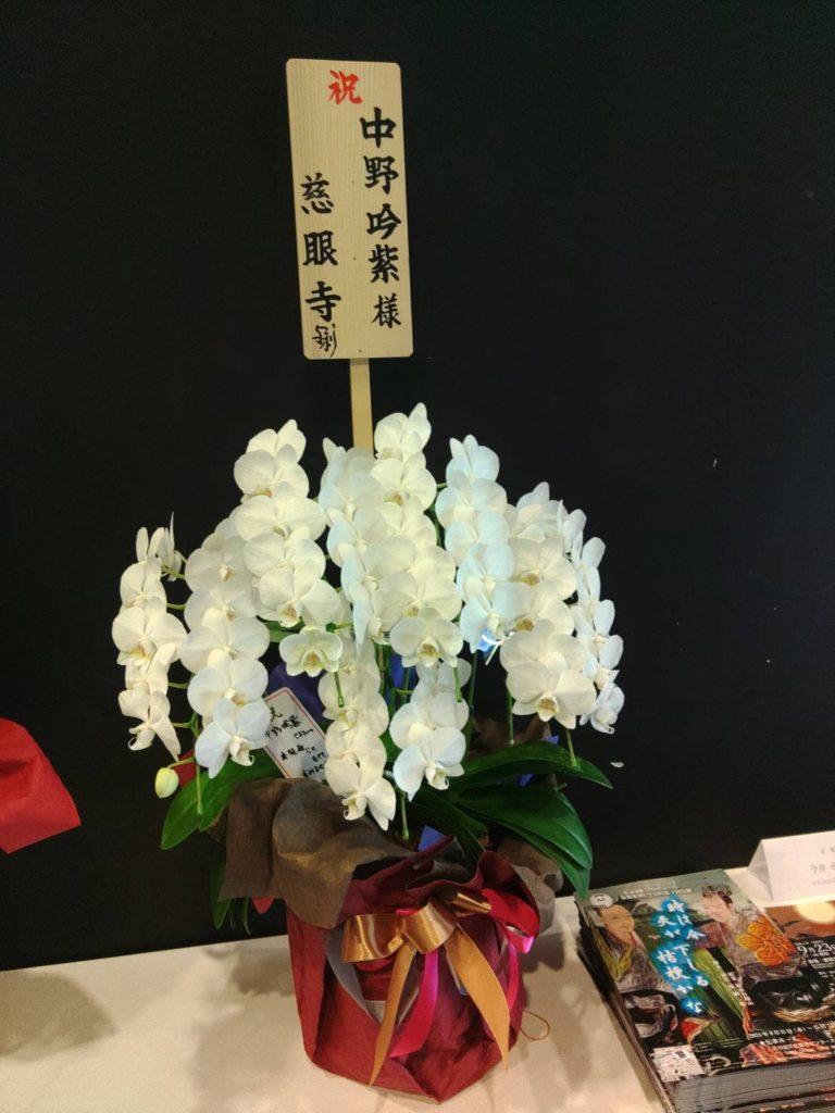 2024/９月後半のお花達